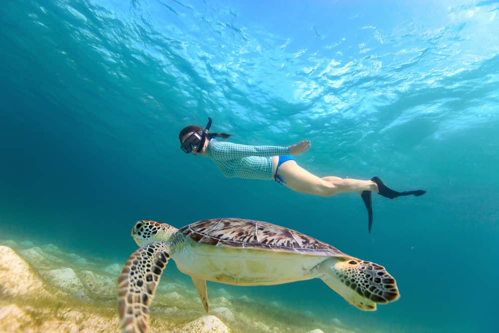 Underwater photo of young woman snorkeling and swimming with Hawksbill sea turtle