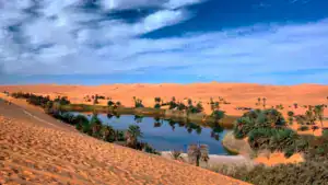 oasi desert